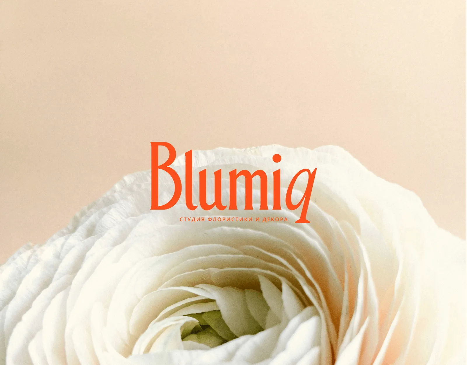 Blumiq: логотип студии цветов на фоне белого цветка